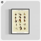 1-20_Favorite-Flies-and-Their-History_blk-crop