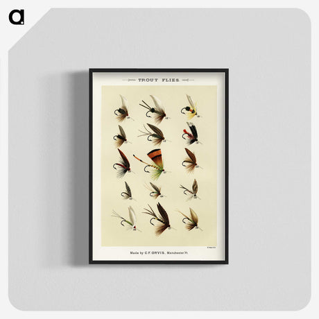 1-20_Favorite-Flies-and-Their-History_blk-crop