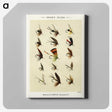 1-20_Favorite-Flies-and-Their-History_canvas