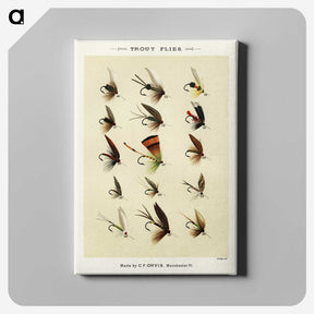 1-20_Favorite-Flies-and-Their-History_canvas