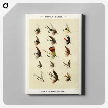 1-20_Favorite-Flies-and-Their-History_canvas