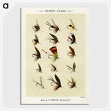 1-20_Favorite-Flies-and-Their-History_picture-crop