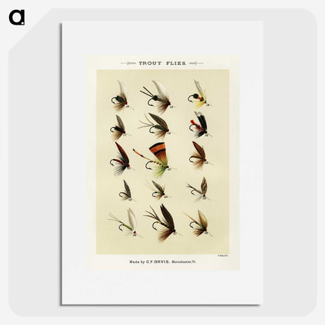 1-20_Favorite-Flies-and-Their-History_picture