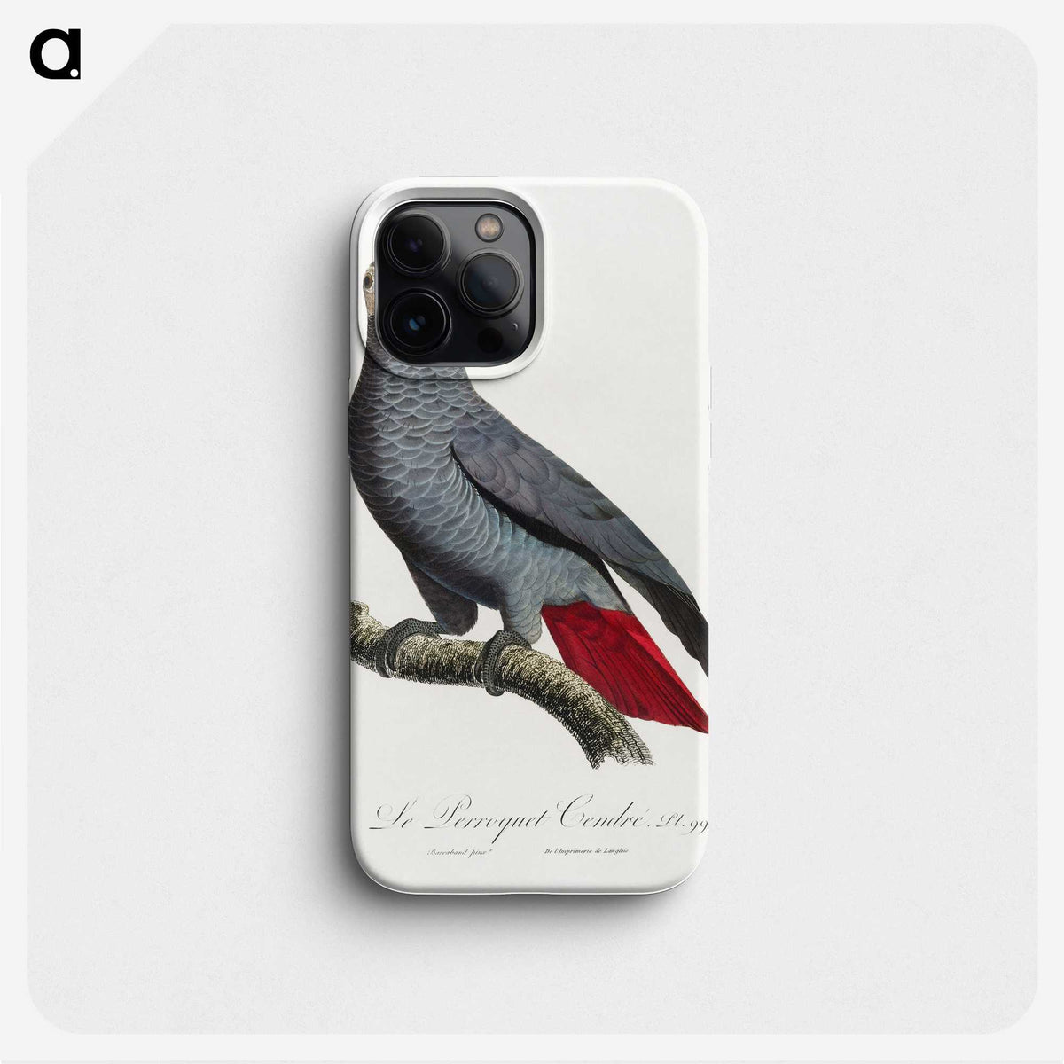 1-20_Francois-Levaillant_phone