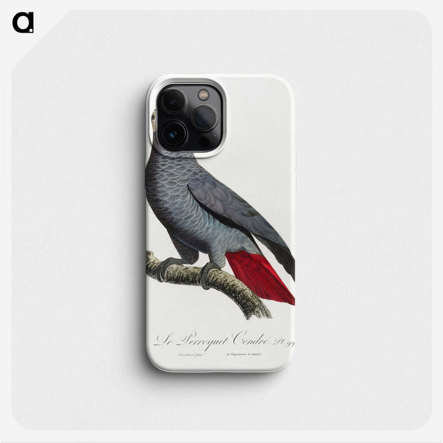 1-20_Francois-Levaillant_phone