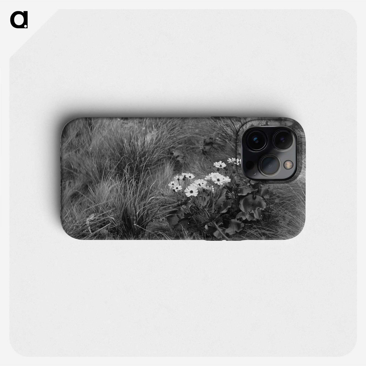 1-20_Frederick-Charles-Brockett_phone