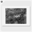 1-20_Frederick-Charles-Brockett_picture