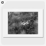 1-20_Frederick-Charles-Brockett_picture