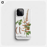 1-20_Georg-Dionysius-Ehret_phone