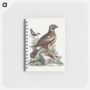 アートメモ帳-The Marsh Hawk and the Reed Birds
 - ジョージ エドワーズ Memo.