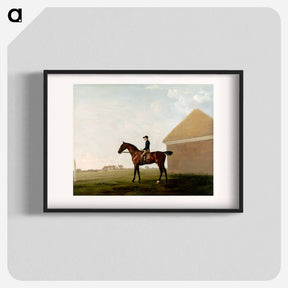 アートポスター-Turf, with Jockey up, at Newmarket
 - ジョージ スタッブス Poster.