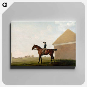 アートパネル-Turf, with Jockey up, at Newmarket
 - ジョージ スタッブス Canvas.
