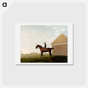 アートポストカード-Turf, with Jockey up, at Newmarket
 - ジョージ スタッブス Postcard.