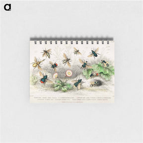 アートメモ帳-Bees
 - ゴールドスミスの生き生きとした自然 Memo.