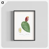 1-20_Histoire-des-Plantes-Grasses_blk