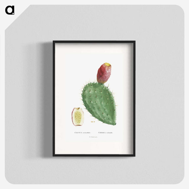 1-20_Histoire-des-Plantes-Grasses_blk