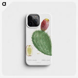 1-20_Histoire-des-Plantes-Grasses_phone