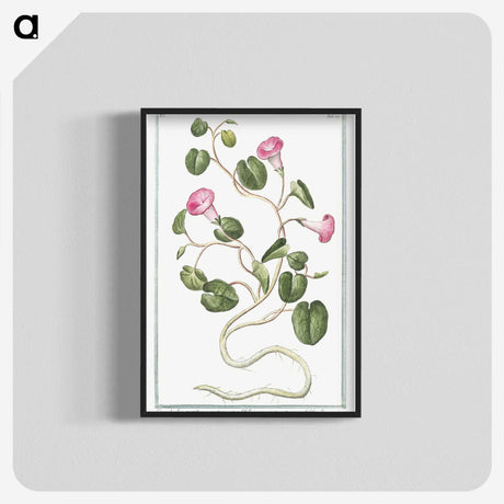 1-20_Hortus-Romanus-Botanical-Plates_blk-crop