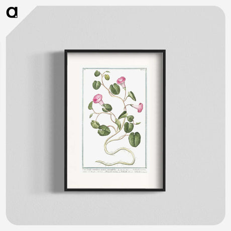 1-20_Hortus-Romanus-Botanical-Plates_blk