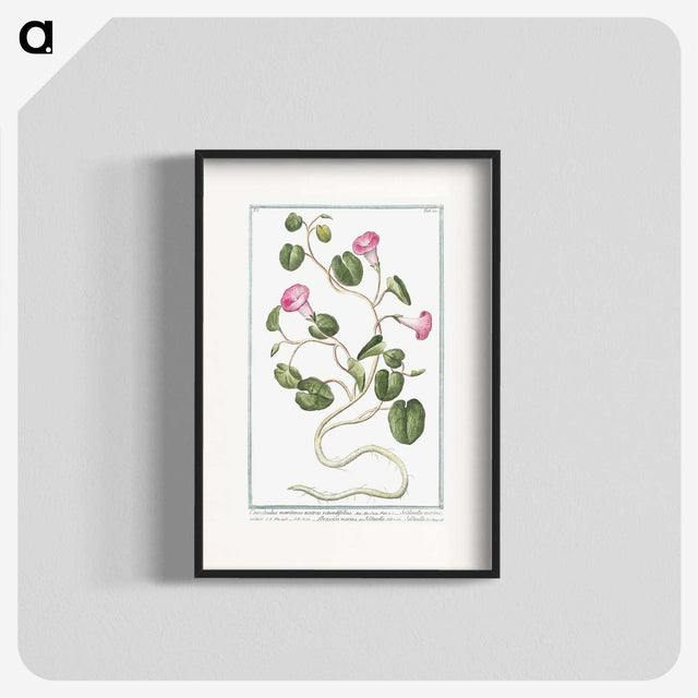 1-20_Hortus-Romanus-Botanical-Plates_blk