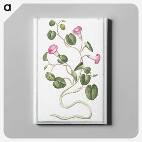 1-20_Hortus-Romanus-Botanical-Plates_canvas