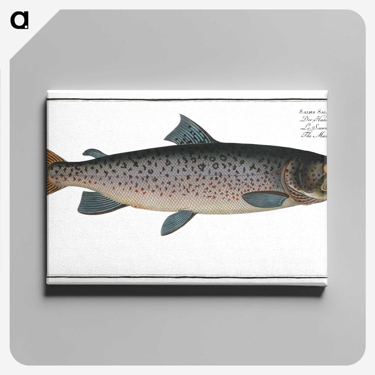1-20_Ichtyologie-ou-Histoire-naturelle_canvas