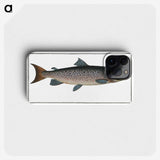 1-20_Ichtyologie-ou-Histoire-naturelle_phone