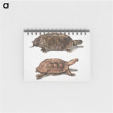 1-20_Indian-Zoology_memo