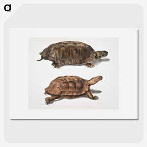 1-20_Indian-Zoology_picture