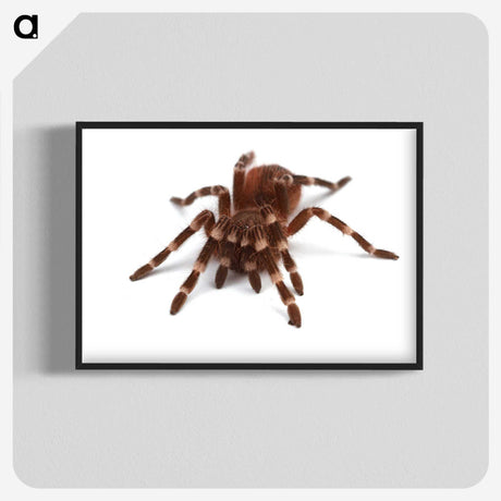 1-20_Insects-Unlocked-Project_blk-crop