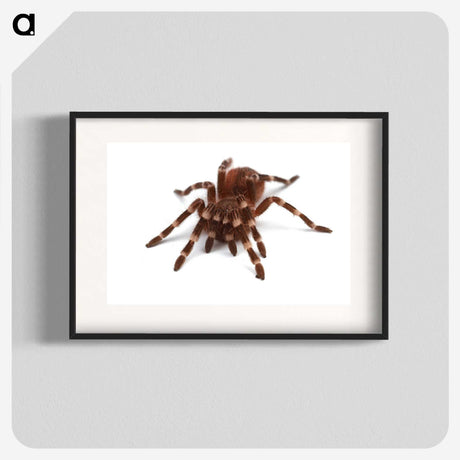 1-20_Insects-Unlocked-Project_blk