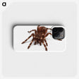 1-20_Insects-Unlocked-Project_phone