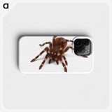 1-20_Insects-Unlocked-Project_phone