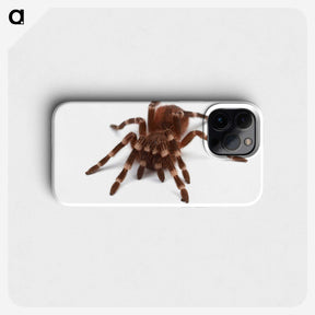1-20_Insects-Unlocked-Project_phone