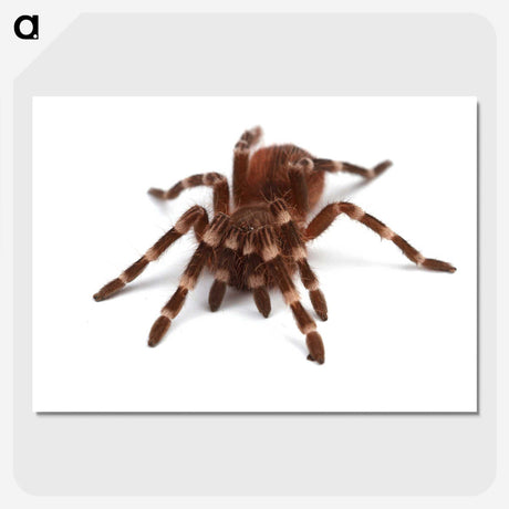 1-20_Insects-Unlocked-Project_picture-crop