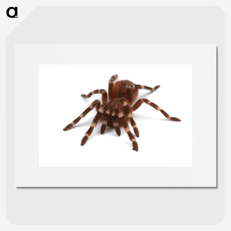 1-20_Insects-Unlocked-Project_picture