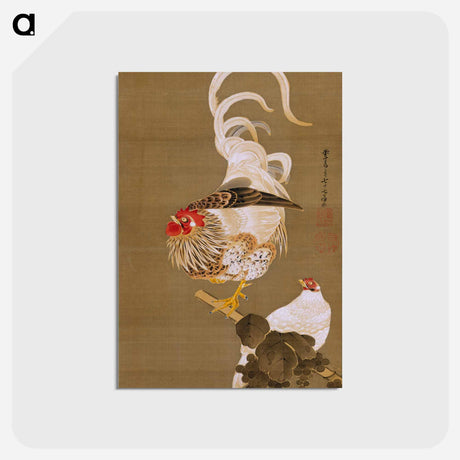 アートポストカード-Hen and Rooster with Grapevine
 - 伊藤若冲 Postcard.