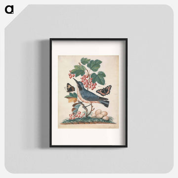 Subalpine Warbler, Strawberry, and Red Admiral
 - ジェームズ ボルトン Poster.