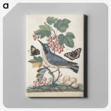 1-20_James-Bolton_canvas