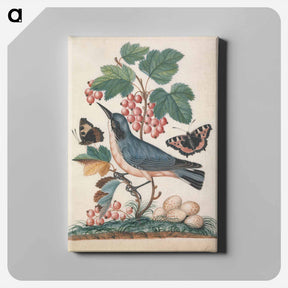アートパネル-Subalpine Warbler, Strawberry, and Red Admiral
 - ジェームズ ボルトン Canvas.