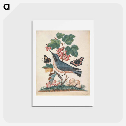 Subalpine Warbler, Strawberry, and Red Admiral
 - ジェームズ ボルトン Postcard.