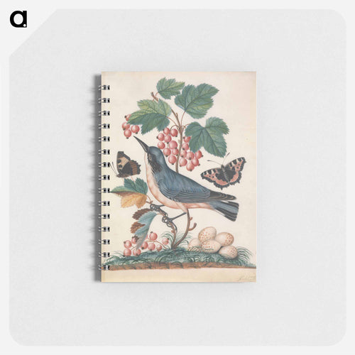 Subalpine Warbler, Strawberry, and Red Admiral
 - ジェームズ ボルトン Memo.