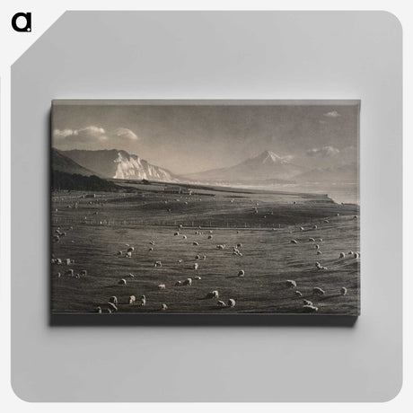 1-20_James-Walter-Chapman-Taylor_canvas