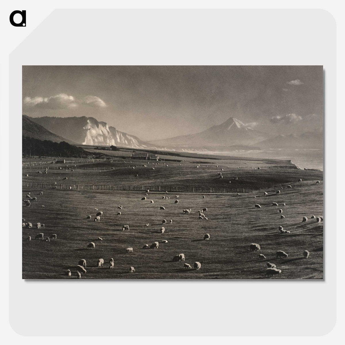 1-20_James-Walter-Chapman-Taylor_picture-crop