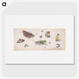1-20_Jan-Van-Kessel_picture