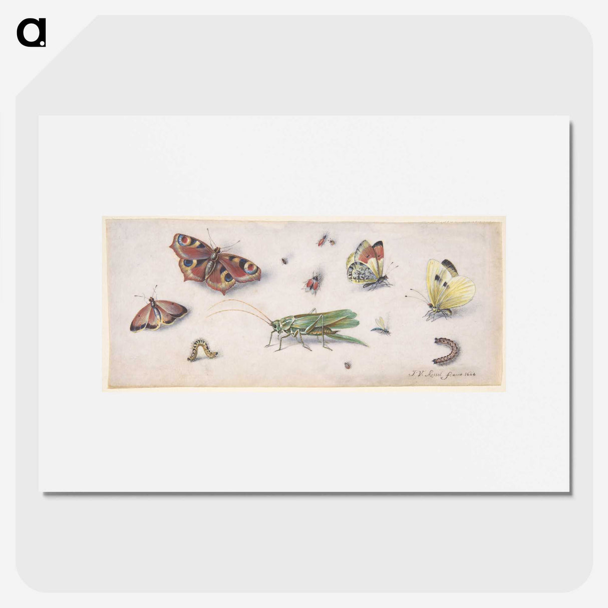 1-20_Jan-Van-Kessel_picture