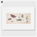 1-20_Jan-Van-Kessel_picture