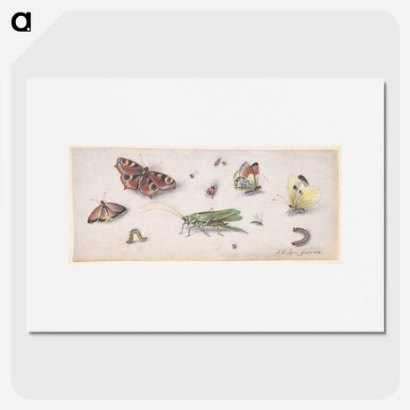 1-20_Jan-Van-Kessel_picture