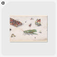 1-20_Jan-Van-Kessel_postcard