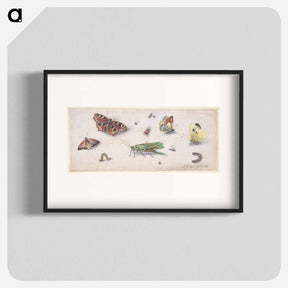 アートポスター-Insects and Butterflies
 - ヤン ファン ケッセル Poster.